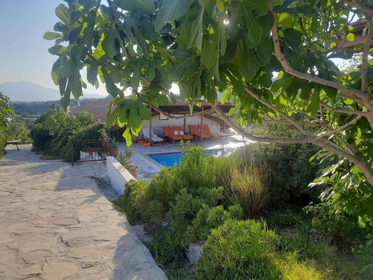 Ionia Guest House Aydin Exteriér fotografie