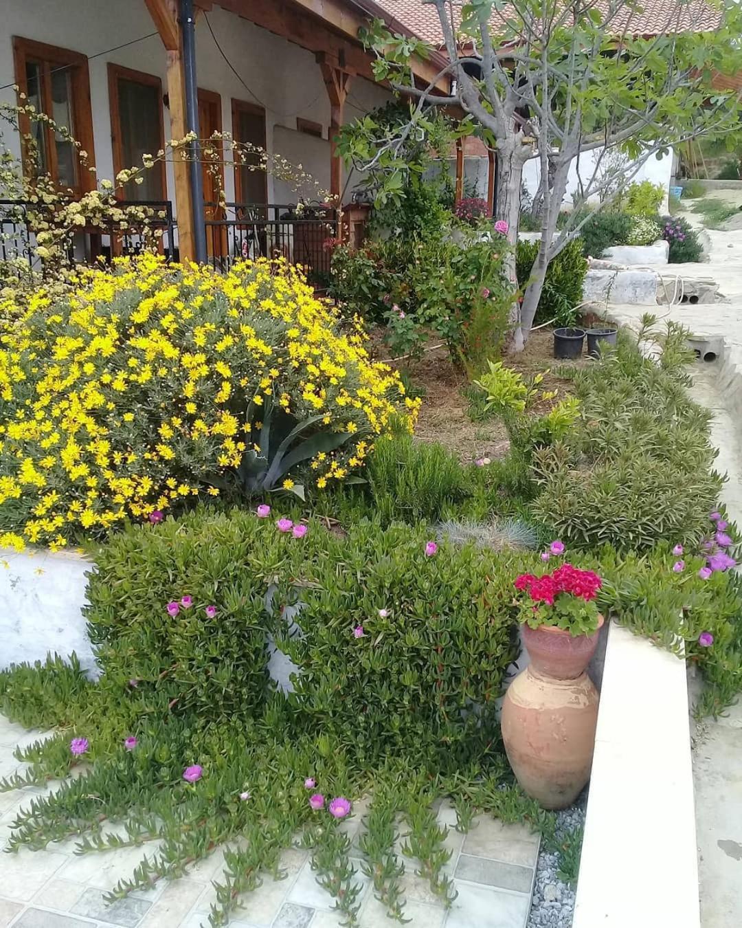 Ionia Guest House Aydin Exteriér fotografie