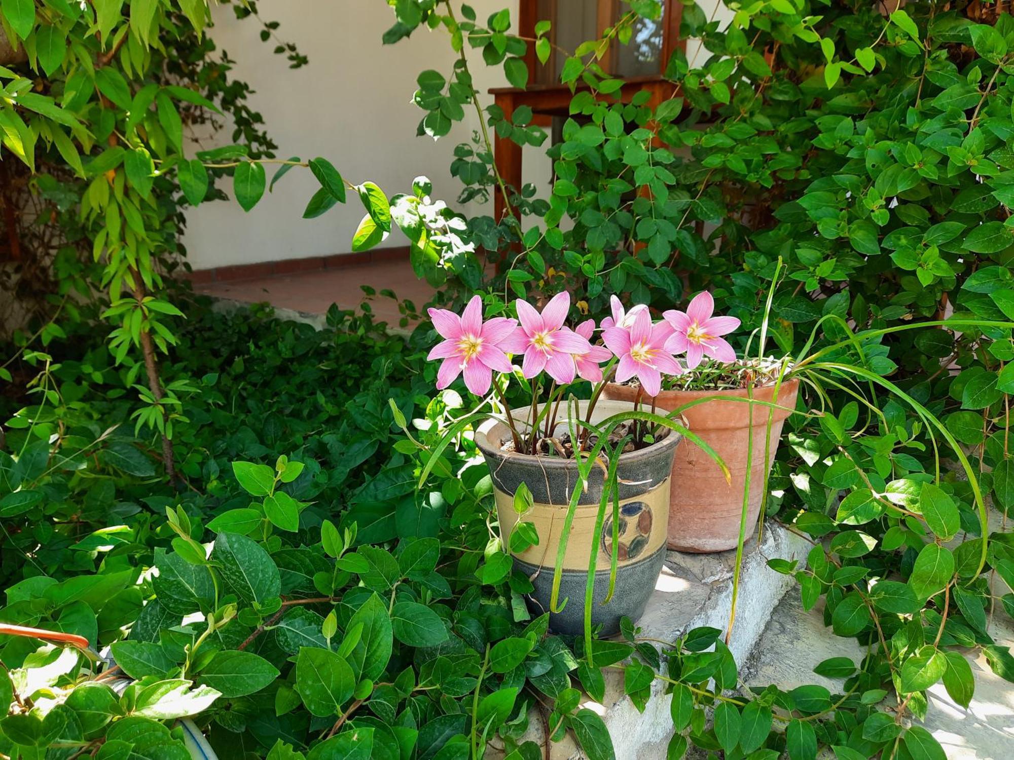Ionia Guest House Aydin Exteriér fotografie