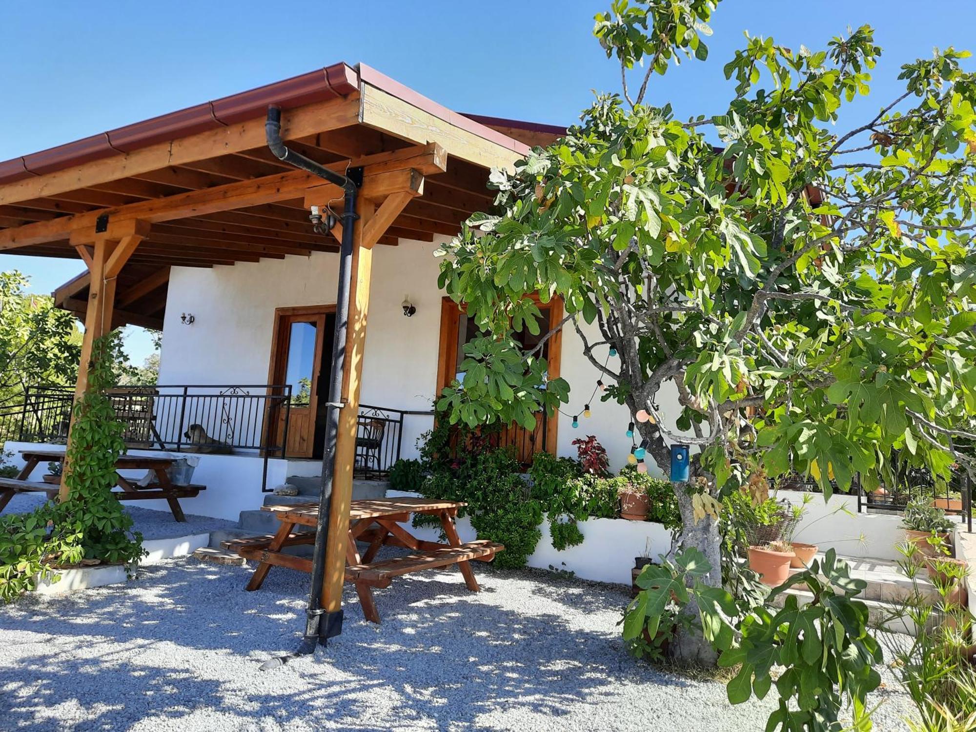Ionia Guest House Aydin Exteriér fotografie