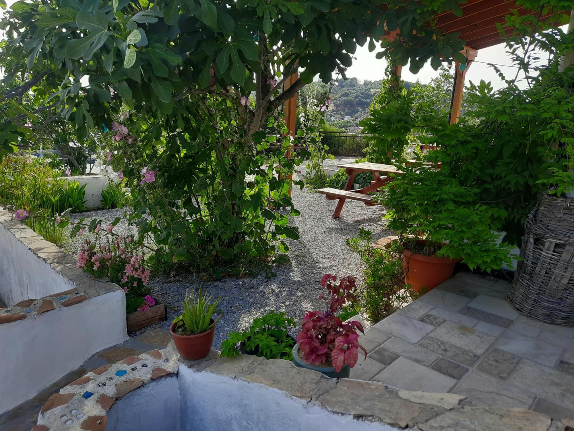 Ionia Guest House Aydin Exteriér fotografie