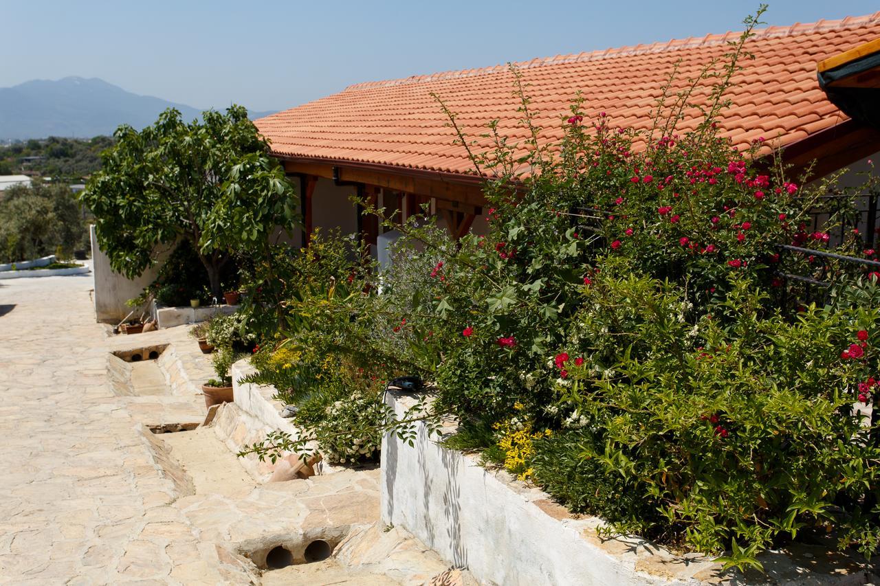 Ionia Guest House Aydin Exteriér fotografie