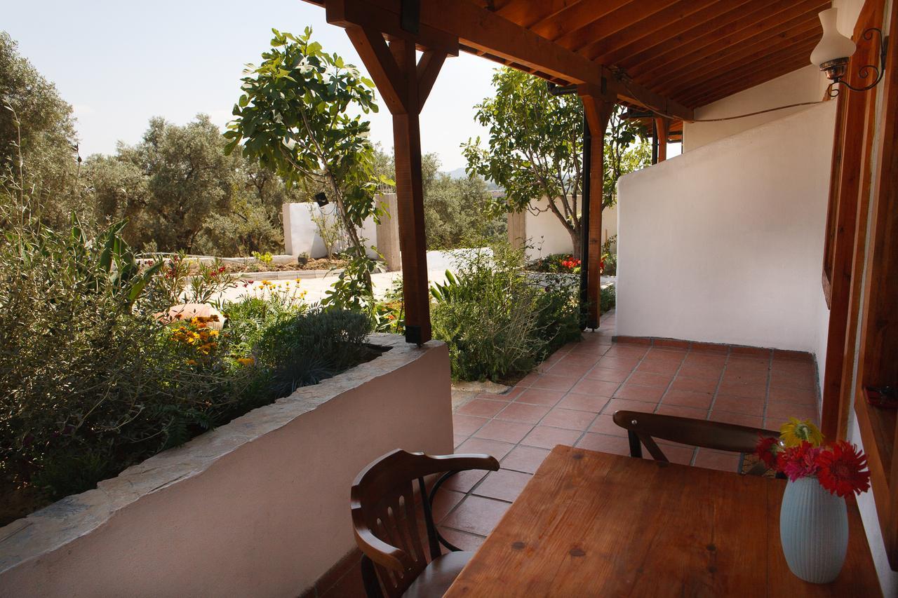 Ionia Guest House Aydin Exteriér fotografie