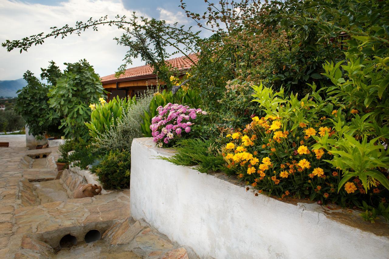 Ionia Guest House Aydin Exteriér fotografie
