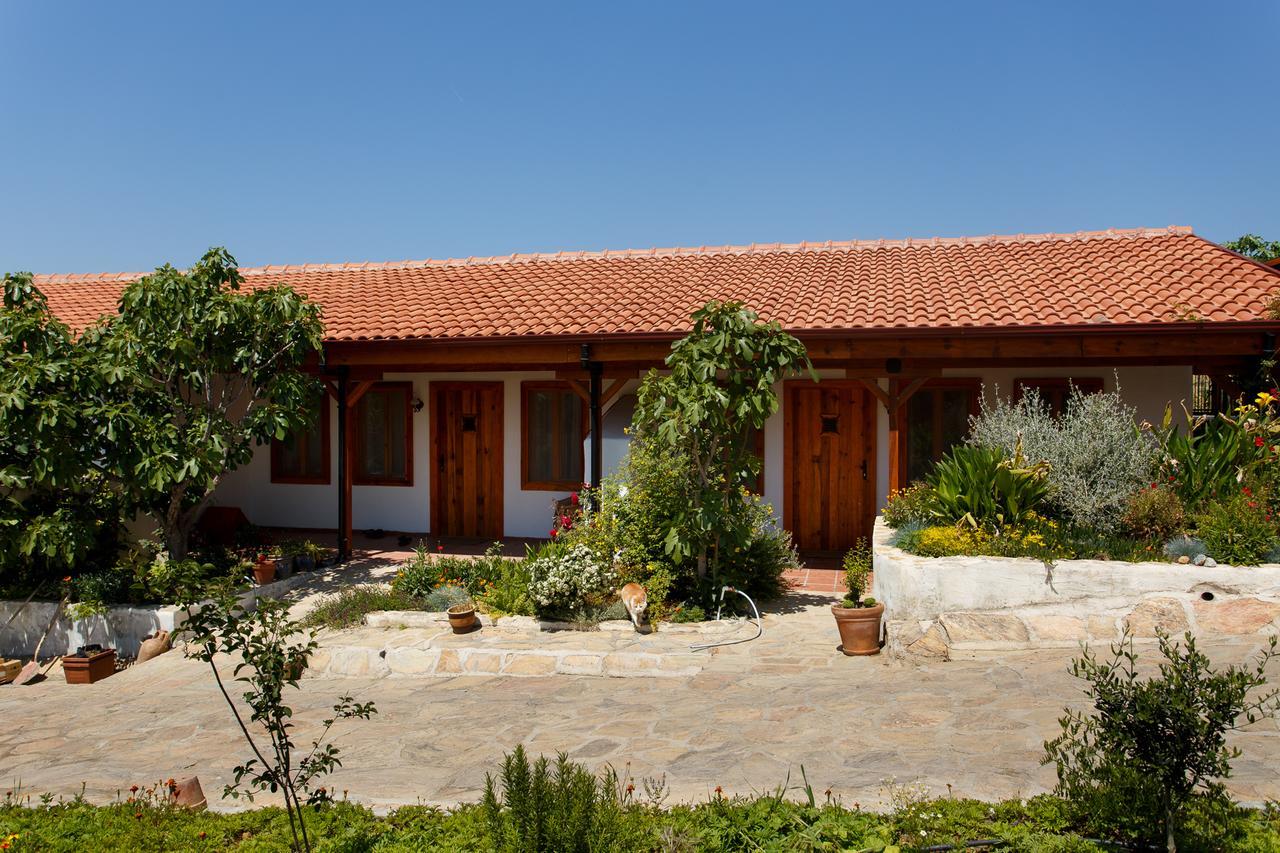Ionia Guest House Aydin Exteriér fotografie
